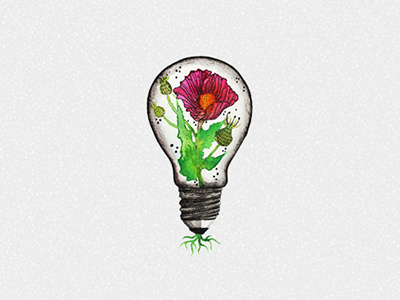 The Growth of Light art direction branding design ecology flower graphic design hand drawn icon illustration light nature sketch