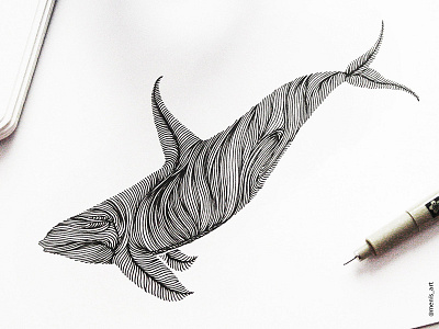 Animal Lines / Whale animal art design dive doodle drawing handmade illustration lines logo pen whale