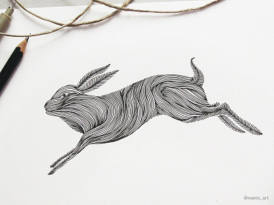 Animal Lines / Hare art artwork design doodle drawing handmade hare illustration lines logo pen rabbit