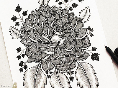 Dahlia Flower art design drawing flower handdrawn handmade illustration ink leaf nature pen white