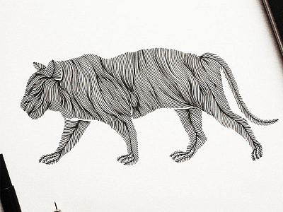 Animal Lines // Lion art design drawing flower handdrawn handmade illustration ink lion logo pen wild