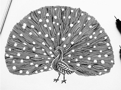 Animal Lines ''Peacock'' animal art bird design doodle drawing illustration ink line logo peacock pen