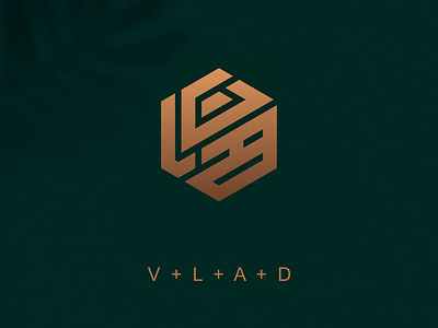 VLAD Logo Concept