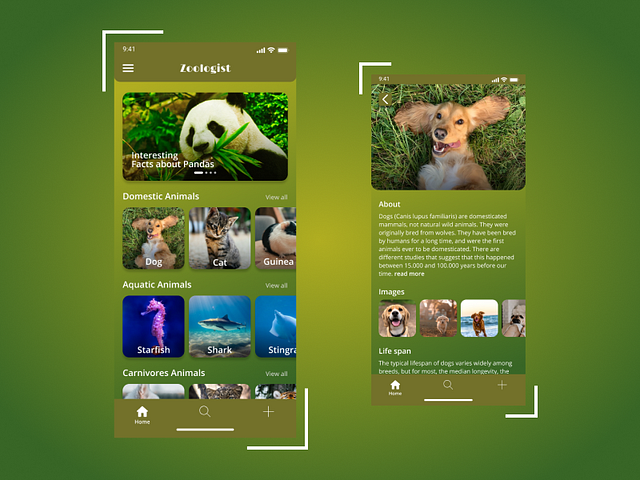 Browse thousands of Zoologist images for design inspiration | Dribbble