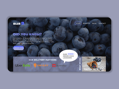 blueberry landing page adobe xd design figma minimal mobile uiux ui ux ux web webdesign