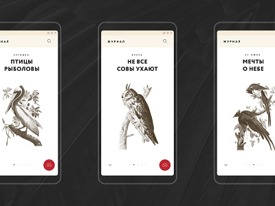 Birds android app birds concept creative design designconcept fab illustration material mobile presentation typography ui uiux ux