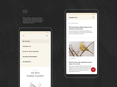 Birds android app appdesign application concept creative design designconcept fab illustration material mobile news presentation type typography ui uiux ux