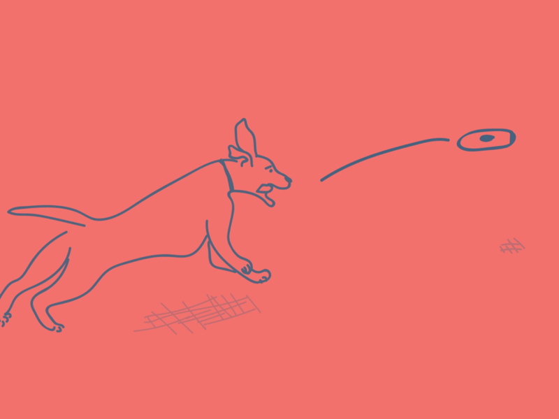Barkchef animated animation branding dog dogs frisbee gif illustration motion pet social media subscription