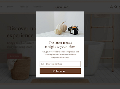Pop up with email subscribition branding e commerce email home marketing pop up popup ui design web design website