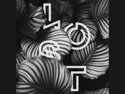 Koy Font clean exotic font geometric k letters logo logotype maze minimal modern monogram path poster single