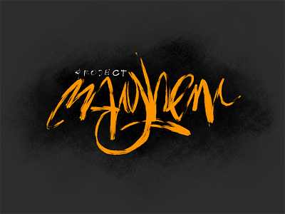 Project Mayhem