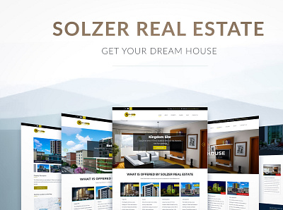 Solzer Real Estate graphic design ui user research ux web design