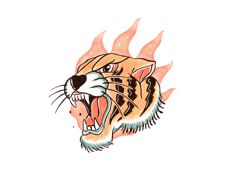 Hot Tiger fire illustration procreate sketch tiger