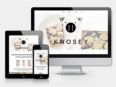 Knosey Website and App branding code front end ui visual web design