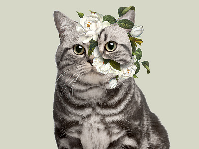 Cats and Flowers botanical cat flowers roses vintage