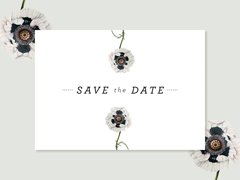 Floral Anemone • Save the Dates anemone black floral green invitation poppy sage save the date stationery wedding white