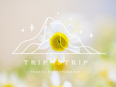 Brand identiy for Tripodtrip branding design graphic design illustration logo logo design typography vector