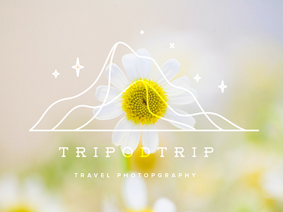 Brand identiy for Tripodtrip