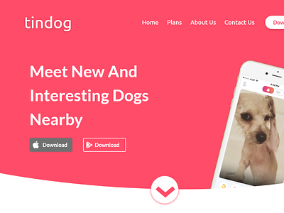 Tindog Web Design 100daychallenge dailyui dailyui 003 dailyuichallenge webdesign