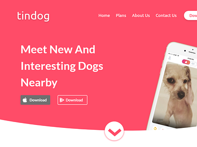 Tindog Web Design