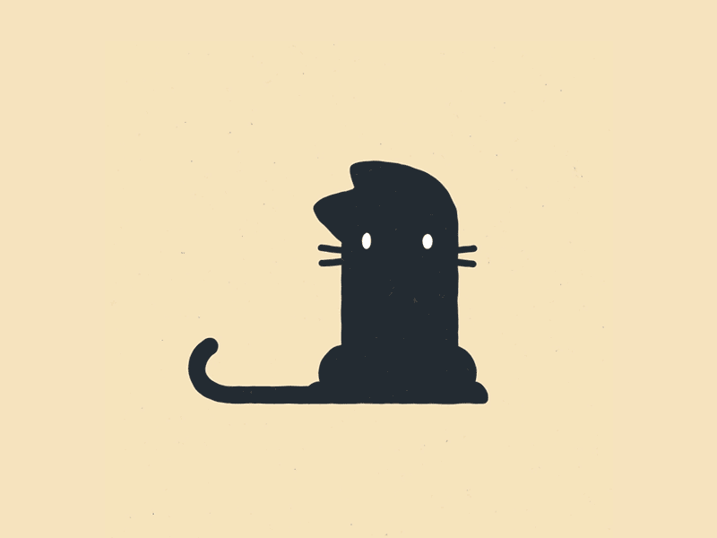 Catpat character design gif illustration motion design