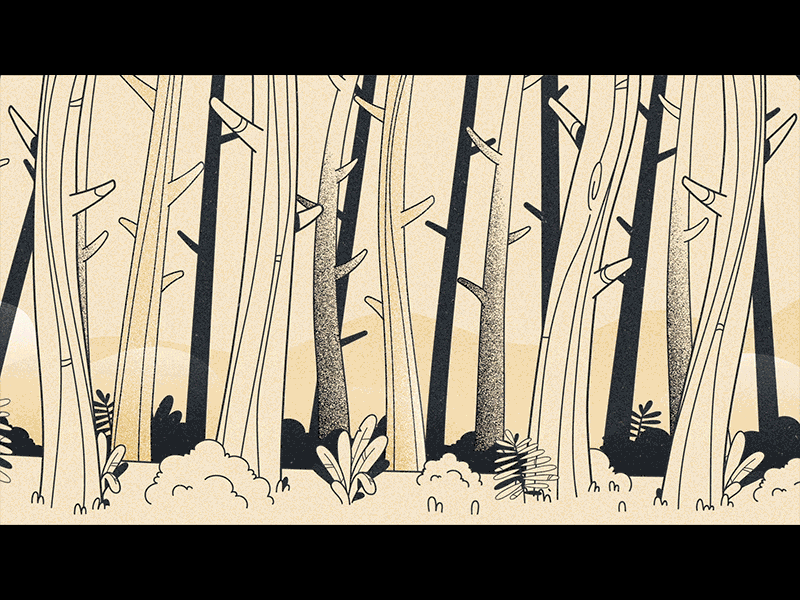Woods gif illustration landscape motiondesign squirrel trees woods
