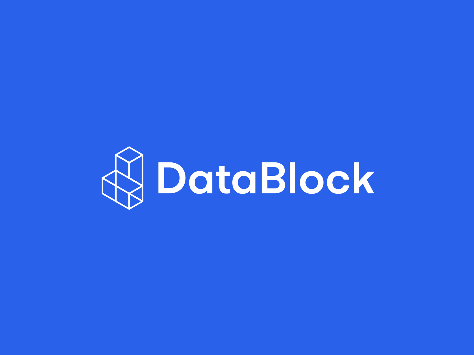 DataBlock Logo blockchain blockchain data blockchaintechnology branding cryptocurrency design logo typography