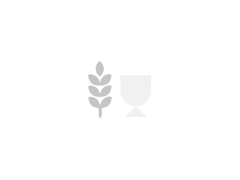 Beer ID — Loading Screen beer branding illustration motion vector