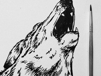 Wolf Illustration drawing illustration ink painting wip wolf