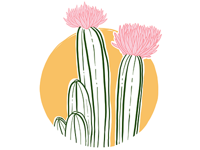 Floral Cactus cactus desert floral flower illustration