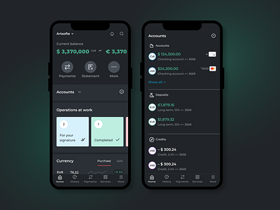 Mobile Internet bank for business. Dark theme app banking banking app business finance interface фзз