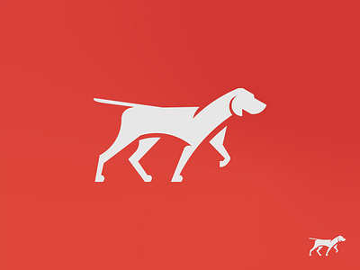 Veterinary Logo Illustration branding design dog flat icon illustration logo pointer dog vector veterinary