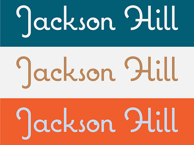 Jackson Hill brand branding color color palette design hotel icon italian lettering logo logotype type typography vector