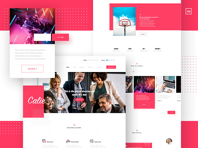 Agency Web Design - 1