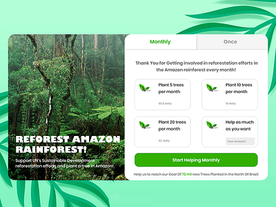 Reforest Amazon Rainforest