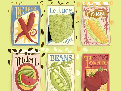 Vintage Inspired Seed Packet Illustration food illustration fruit handlettered illustration lettering lettering art packaging seeds typography vegetable vintage