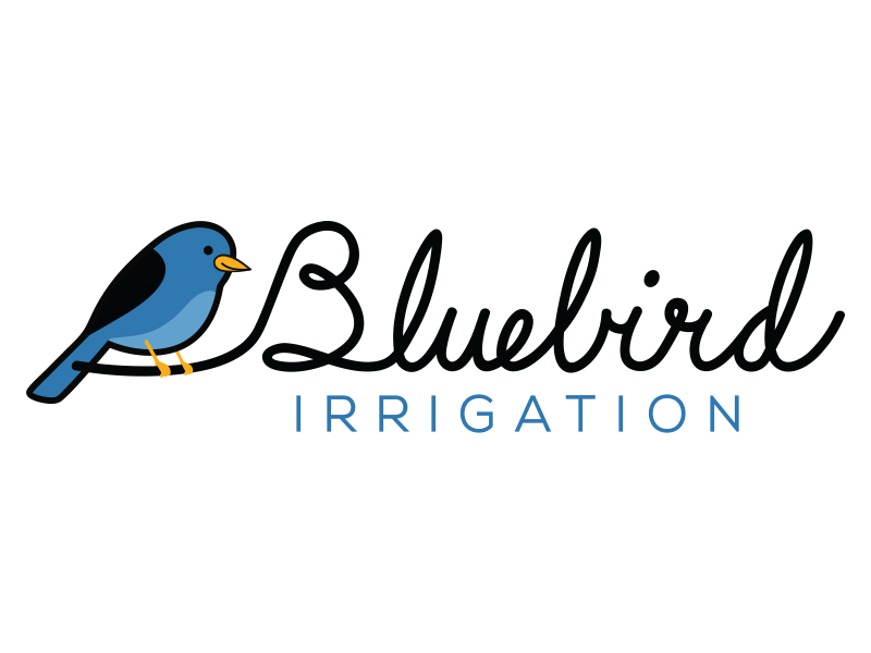 Bluebird logo blue logotype text written hand font cursive script logo bird