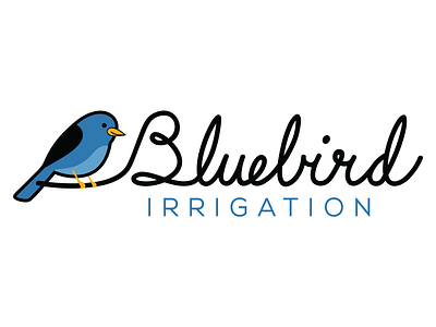 Bluebird logo bird blue cursive font hand logo logotype script text written