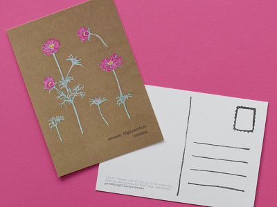 Cosmos botanical illustration, postcard design