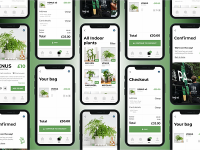 Online checkout of boutique plant shop