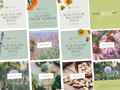 Atlantic Naturopathic Instagram Templates Pt1