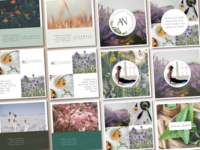 Atlantic Naturopathic Instagram Templates Pt 2