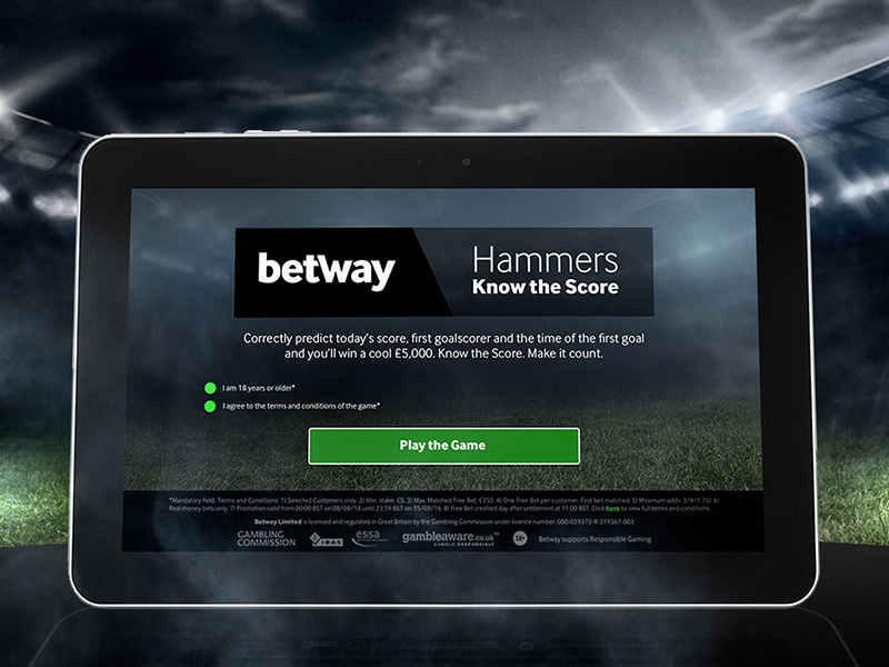 West Ham Game by Sara Ninno on Dribbble