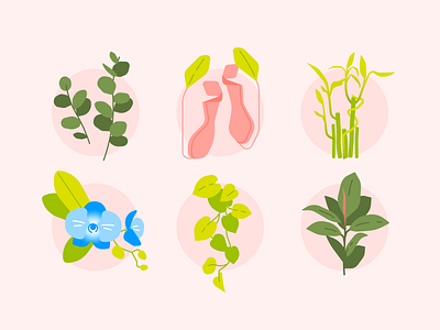 Lucky Plants design digital artwork graphic design illustration lucky plants vector