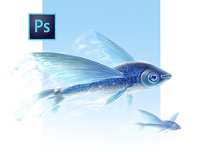 Children's Book Flying Fish Illustration adobe photoshop air book character child story children concept digital painting drawing fairytale fish fly flying fish illustration light magic printing social project water zajno