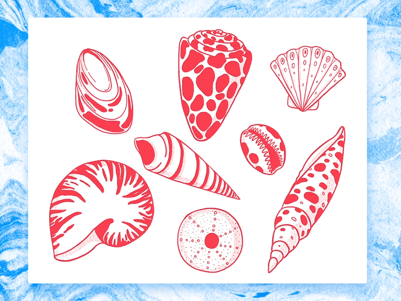 Seashells Sticker Pack