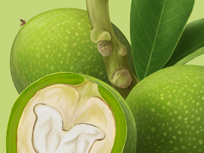 Green walnut