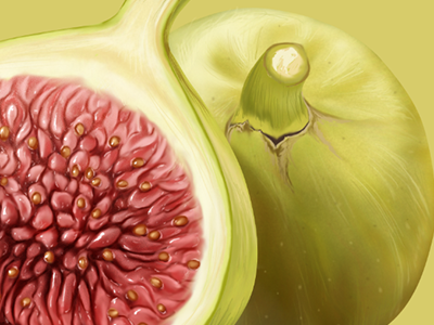 Fig fig food fruit yummy