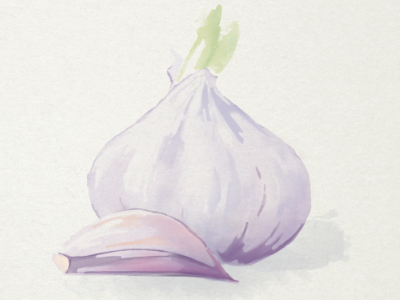 Garlic