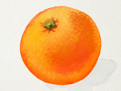 Orange fruit orange watercolor